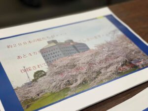 茂原桜プロジェクト表紙